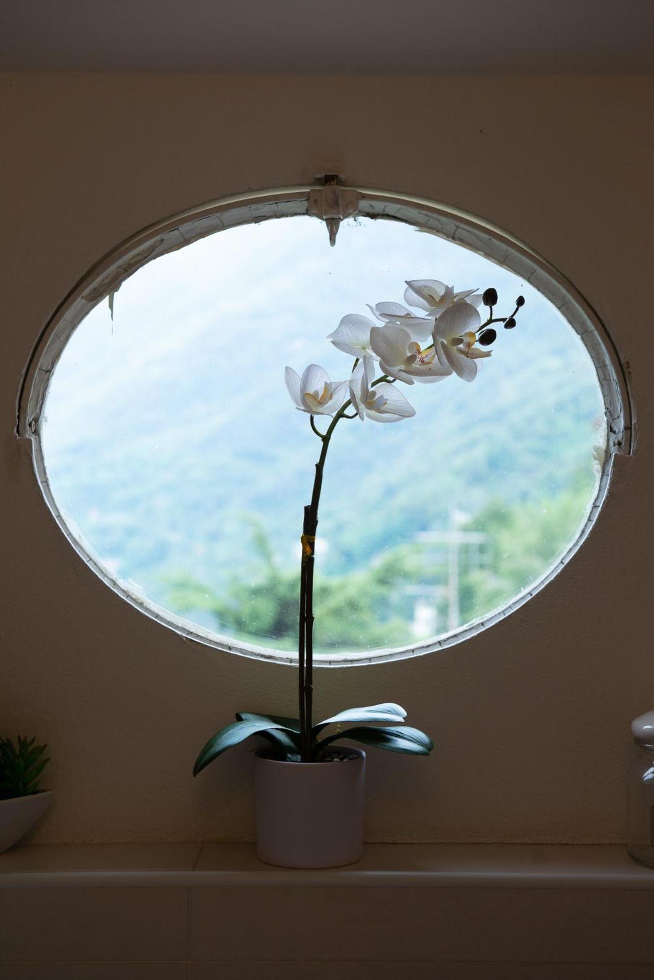 Appartamento "Bella Vista" Sul Lago Di Como Faggeto Lario Exterior photo